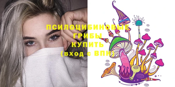 apvp Медвежьегорск