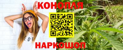 шишки Абакан