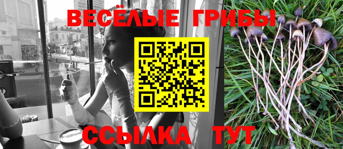 Псилоцибиновые грибы ЛСД Серпухов