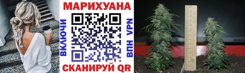 Шишки марихуана VHQ  где купить наркоту  omg ССЫЛКА  Серпухов 